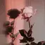 mizukiのプロフィール画像