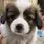 naoのプロフィール画像