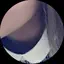たけのプロフィール画像