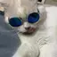 海里のプロフィール画像