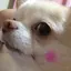 fumikoのプロフィール画像