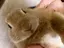 みーのプロフィール画像