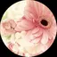 かーな。のプロフィール画像