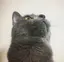 yucciのプロフィール画像