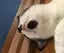ゆいのプロフィール画像