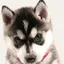ニナのプロフィール画像
