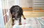 ありさのプロフィール画像