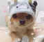 清美のプロフィール画像