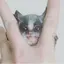 kohaのプロフィール画像
