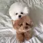 mimiのプロフィール画像