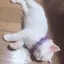 くりーむぱんのプロフィール画像