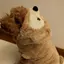 しーちゃんのプロフィール画像