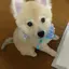 k a n aのプロフィール画像