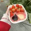 まみのプロフィール画像