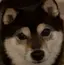 かりんにゃんのプロフィール画像