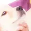 ななのプロフィール画像