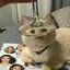 もものプロフィール画像