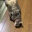 ぴーやのプロフィール画像