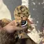 栞のプロフィール画像