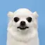 lunaのプロフィール画像