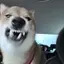 のののプロフィール画像