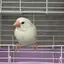 はーのプロフィール画像