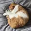 rinaのプロフィール画像