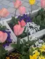くぅのプロフィール画像