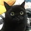 Aのプロフィール画像