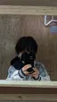 まどかのプロフィール画像