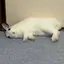 ひのプロフィール画像
