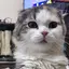 京子のプロフィール画像