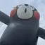 cikaのプロフィール画像