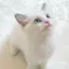 R.のプロフィール画像