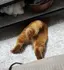 つかさのプロフィール画像