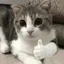 れいのプロフィール画像