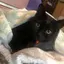 さちぃのプロフィール画像