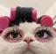 リサのプロフィール画像