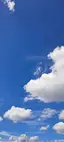 ハッチのプロフィール画像