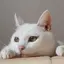 あまぐりのプロフィール画像