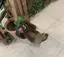 えのプロフィール画像