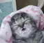 mtkのプロフィール画像