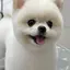 なぎたんのプロフィール画像