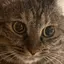 Amyのプロフィール画像