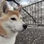 なぎさのプロフィール画像