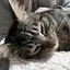 倖のプロフィール画像