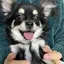 あやのプロフィール画像