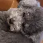 なこのプロフィール画像