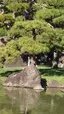 みーやのプロフィール画像