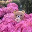 R.K.Kのプロフィール画像